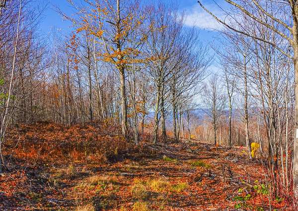 5.4 Acres of Residential Land for Sale in Stoneham Town, Maine