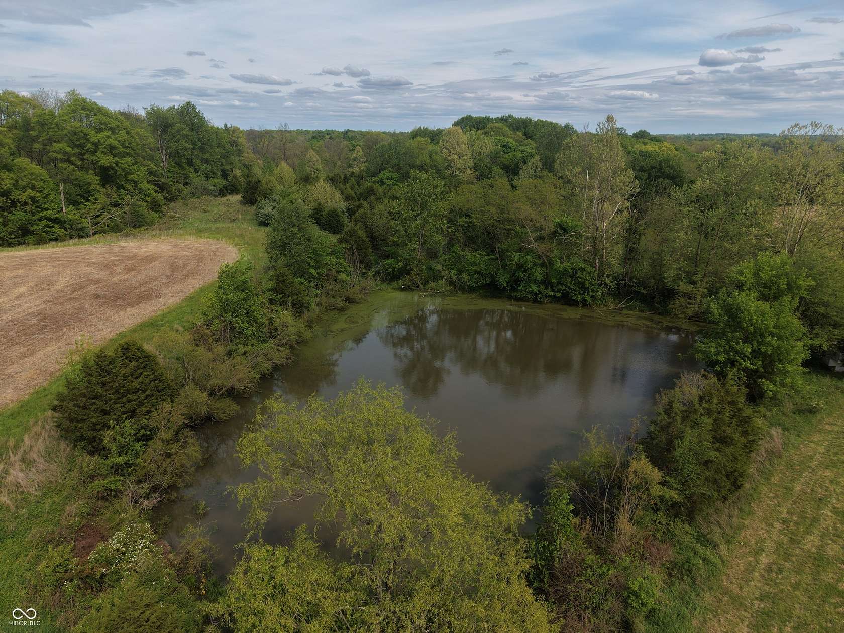 41.3 Acres of Recreational & Residential Land for Sale in Canaan, Indiana