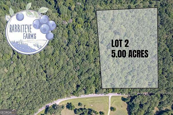 5 Acres of Land for Sale in Moreland, Georgia