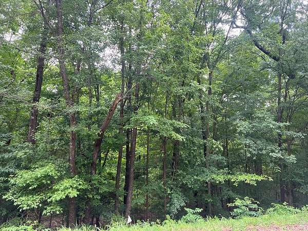 Residential Land for Sale in Halifax, Virginia