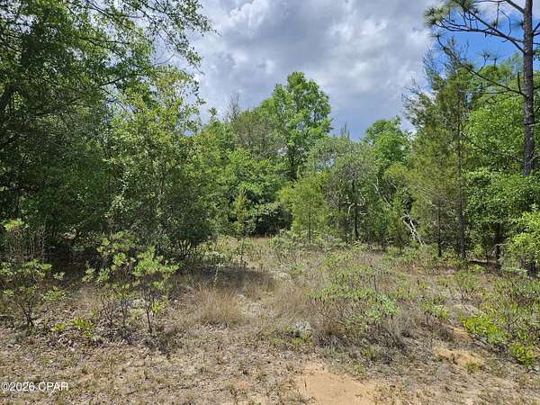0.38 Acres of Residential Land for Sale in Chipley, Florida