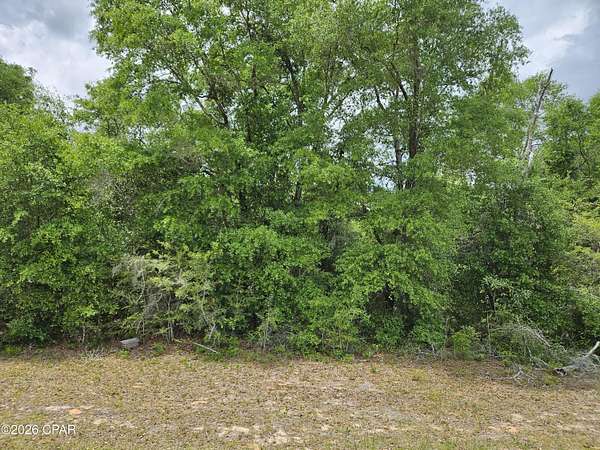 0.34 Acres of Residential Land for Sale in Chipley, Florida