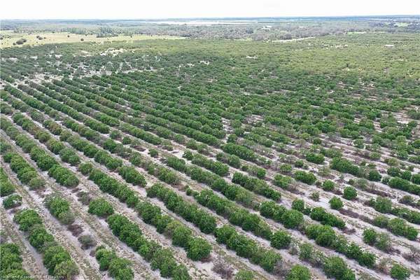 9.45 Acres of Residential Land for Sale in Avon Park, Florida