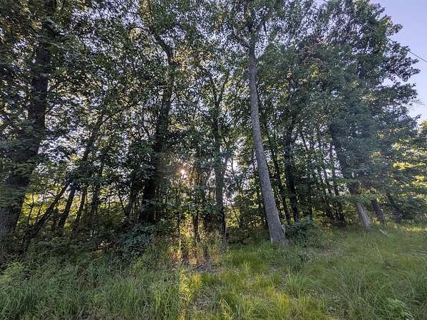 0.8 Acres of Residential Land for Sale in Grand Marsh, Wisconsin