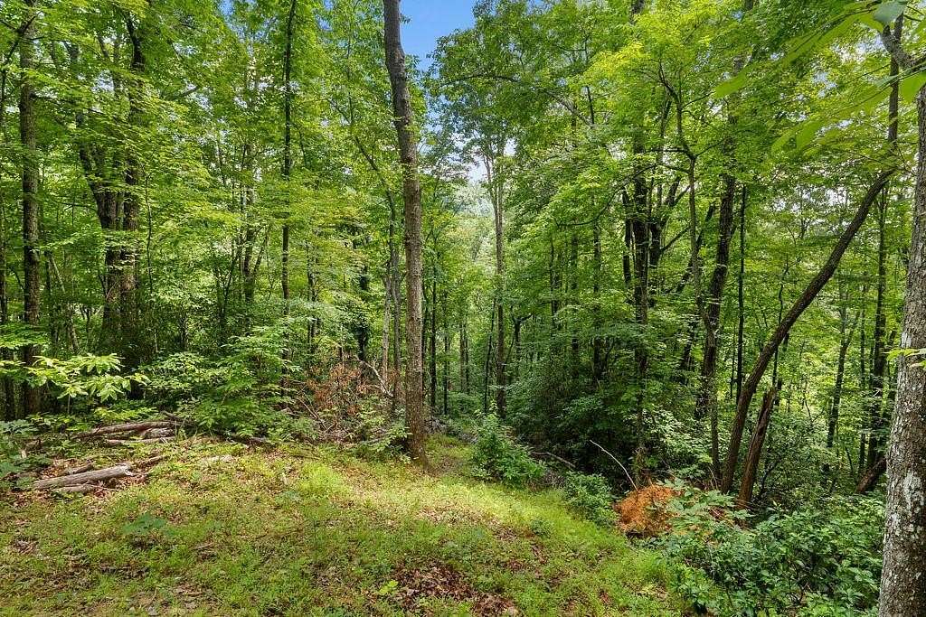 2 Acres of Land for Sale in Franklin, North Carolina