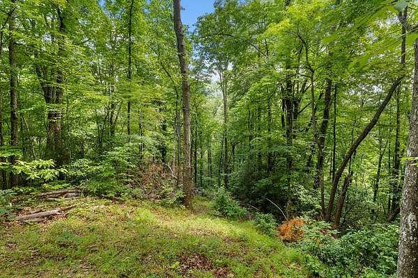 2 Acres of Land for Sale in Franklin, North Carolina