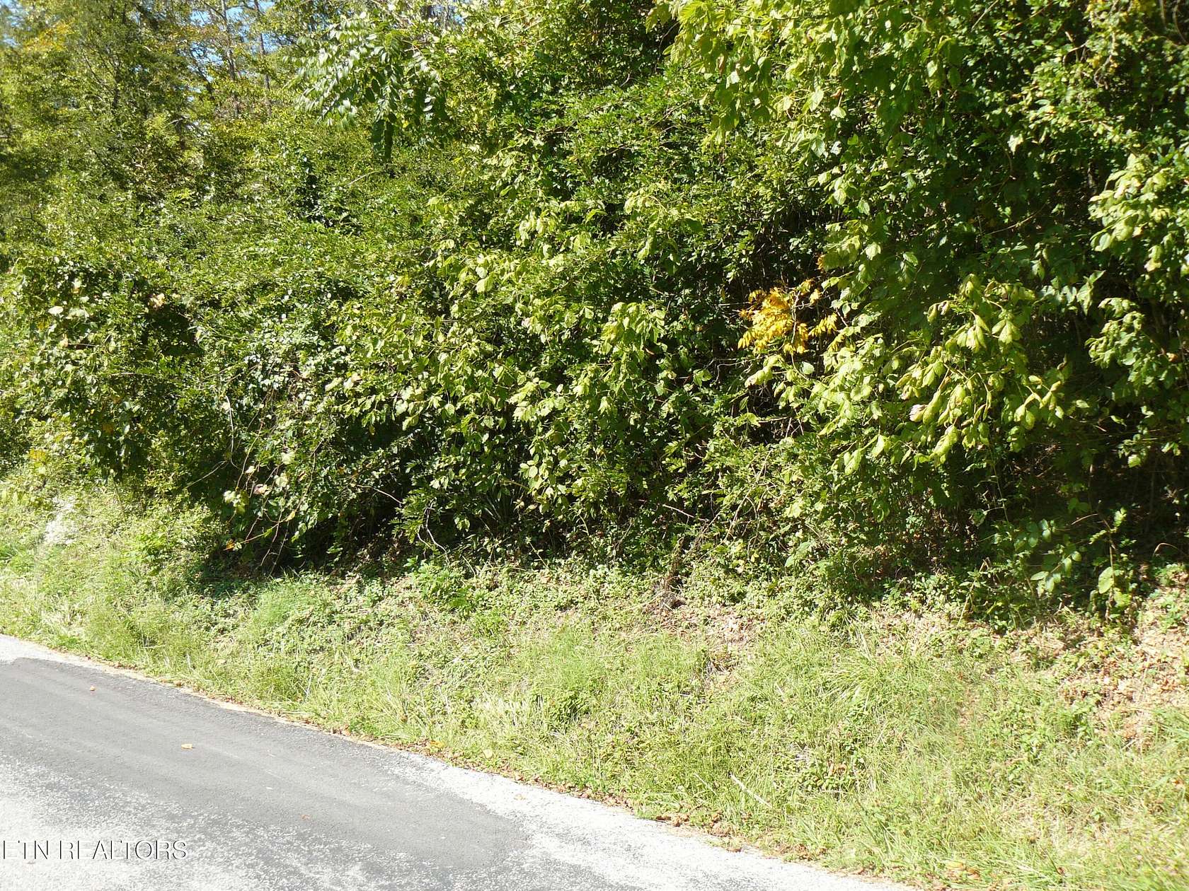 16 Acres of Land for Sale in Tazewell, Tennessee