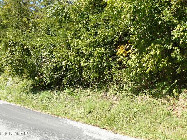 16 Acres of Land for Sale in Tazewell, Tennessee