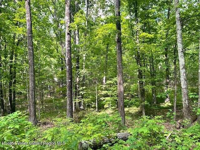 6.4 Acres of Residential Land for Sale in Cairo, New York