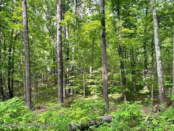 6.4 Acres of Residential Land for Sale in Cairo, New York