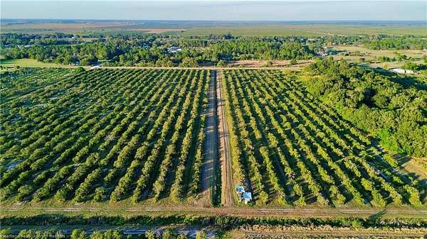 10 Acres of Land for Sale in Lorida, Florida