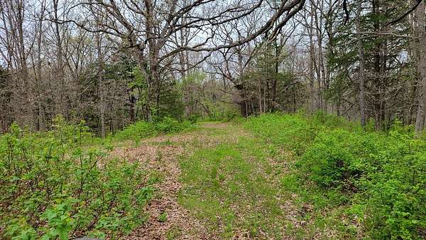 10 Acres of Recreational Land for Sale in Milan, Missouri