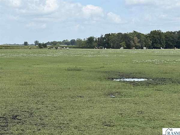 67.8 Acres of Recreational & Residential Land for Sale in North Mankato, Minnesota