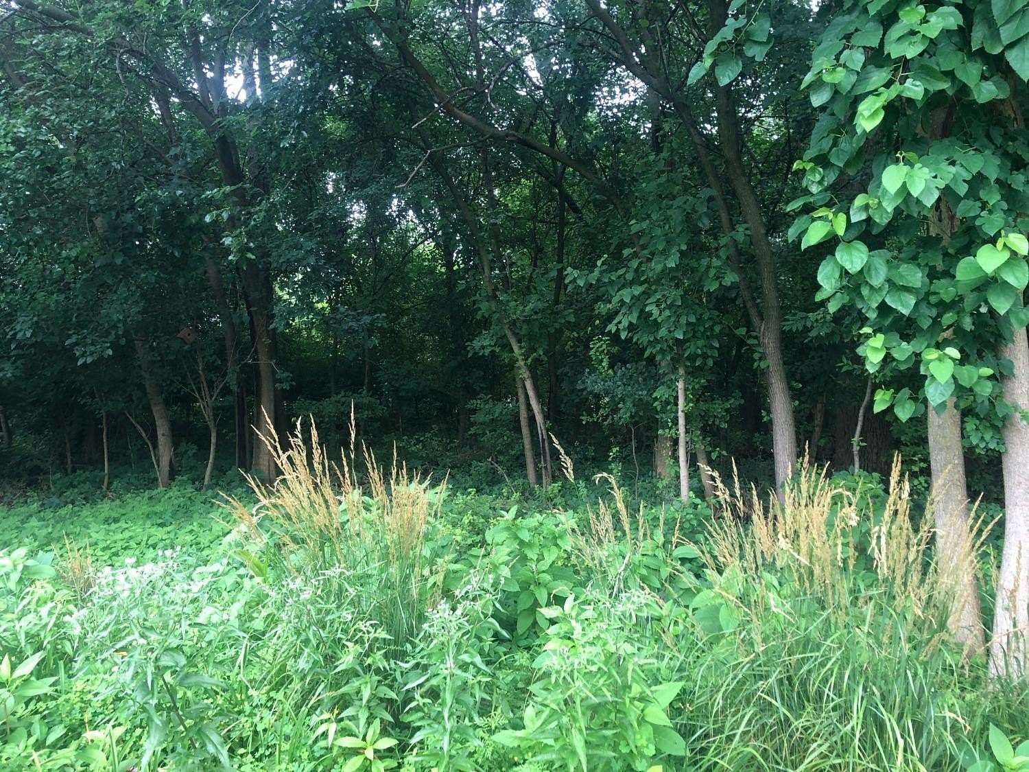 0.61 Acres of Residential Land for Sale in Griffith, Indiana