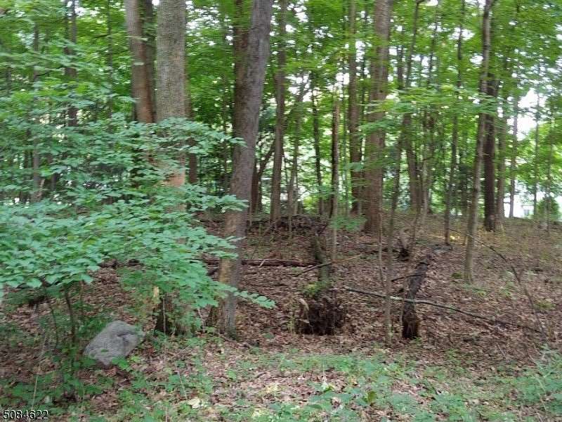 0.29 Acres of Land for Sale in Hampton Township, New Jersey