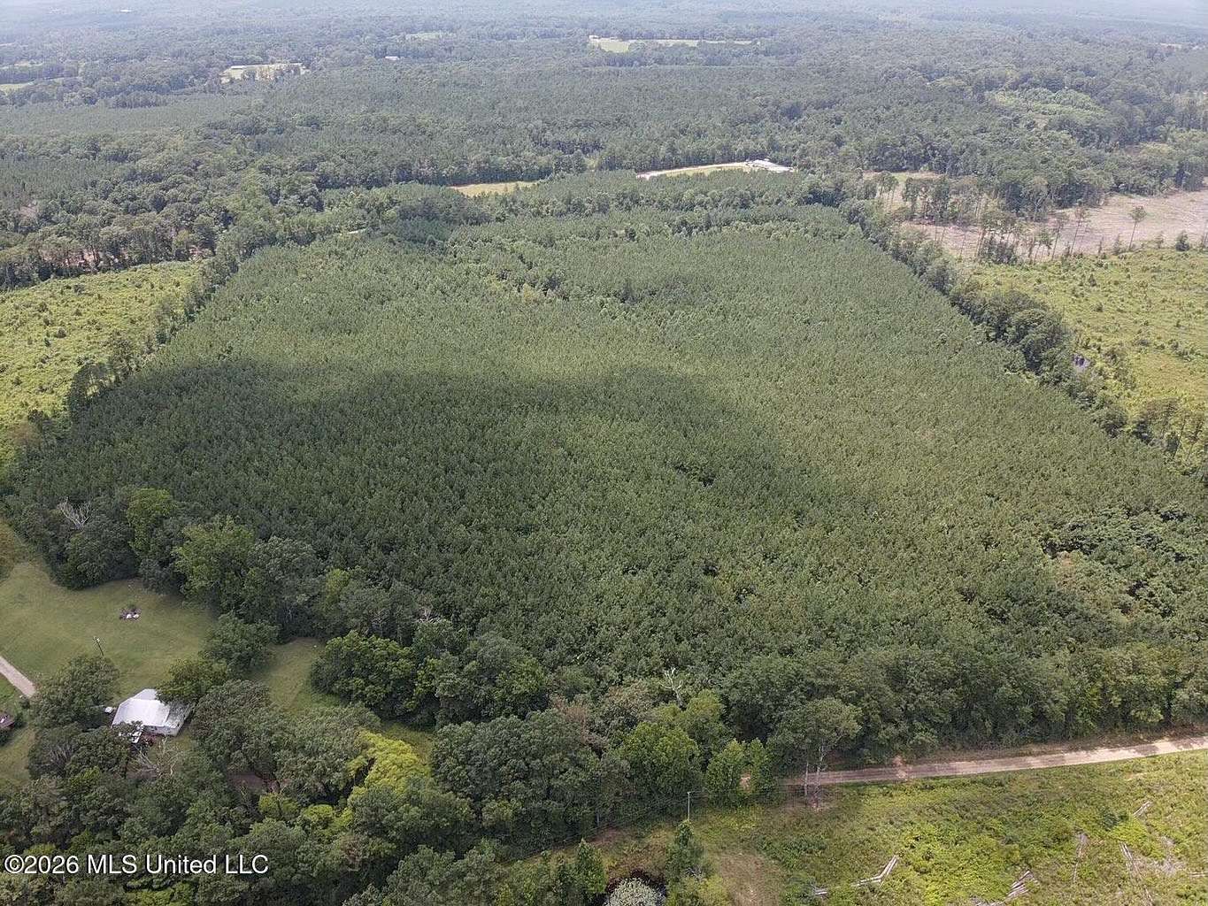 12 Acres of Land for Sale in Morton, Mississippi