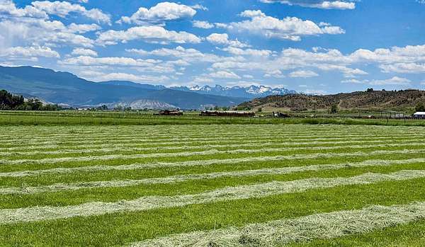 19.2 Acres of Land for Sale in Montrose, Colorado
