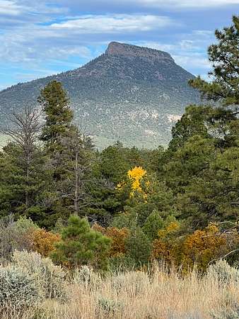 55 Acres of Land for Sale in Youngsville, New Mexico