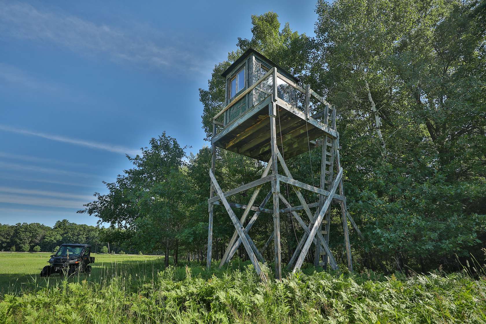 38.9 Acres of Land for Sale in Pittsville, Wisconsin