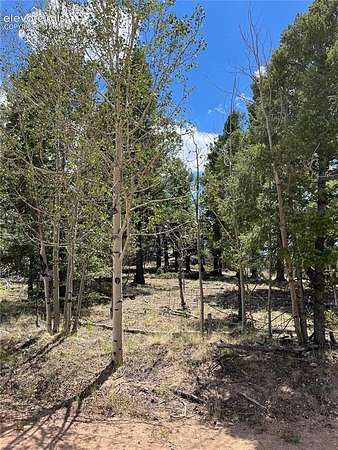 1.5 Acres of Residential Land for Sale in Guffey, Colorado
