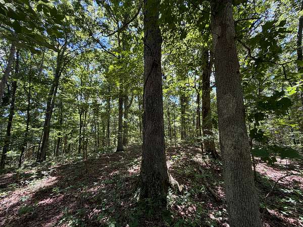 40 Acres of Land for Sale in Equality Township, Illinois