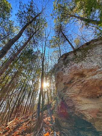 30.9 Acres of Recreational & Residential Land for Sale in Haleyville, Alabama