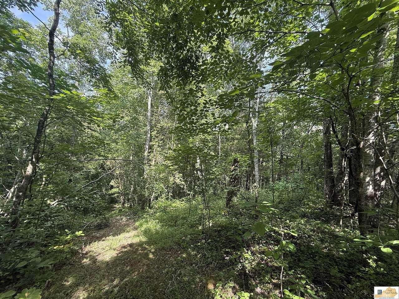 6.35 Acres of Land for Sale in Columbia, Kentucky