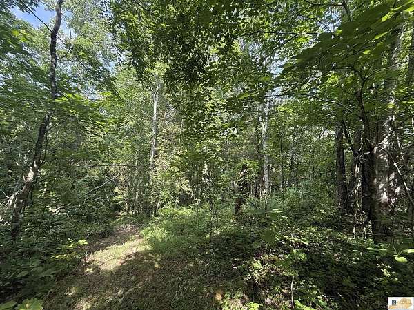 6.35 Acres of Land for Sale in Columbia, Kentucky
