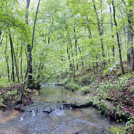 35 Acres of Land for Sale in Hohenwald, Tennessee