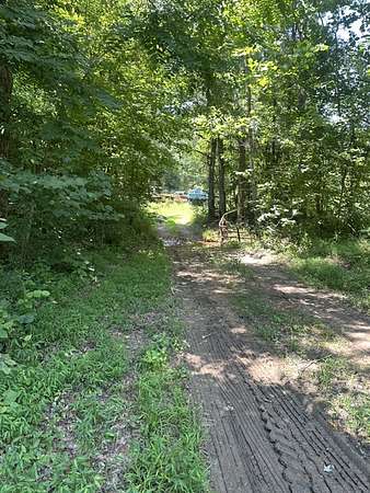 46.4 Acres of Recreational & Residential Land for Sale in Holladay, Tennessee