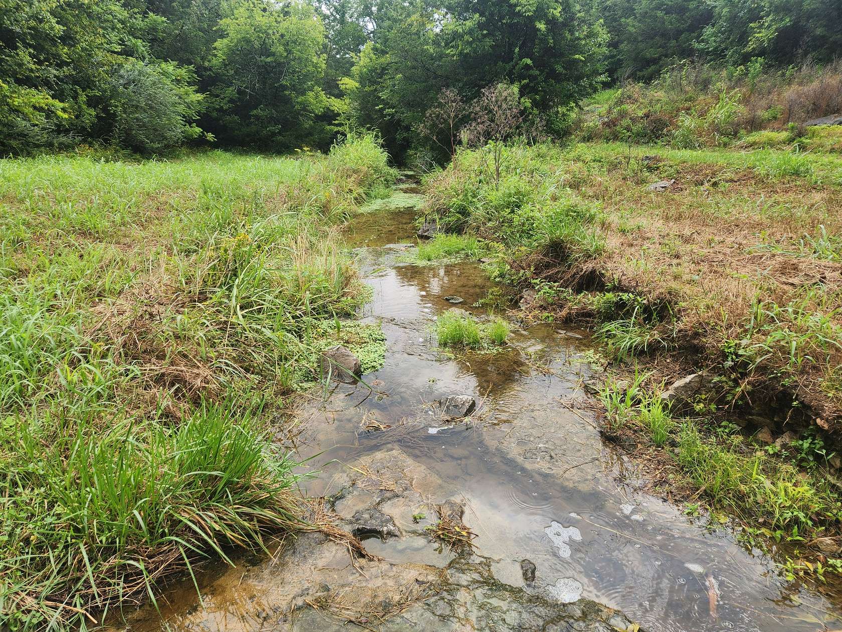 50 Acres of Land for Sale in Bradyville, Tennessee