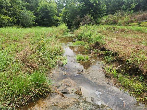 50 Acres of Land for Sale in Bradyville, Tennessee