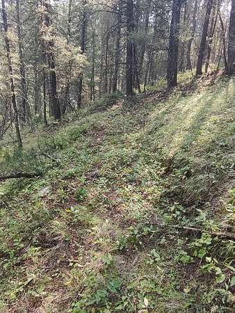 1.68 Acres of Land for Sale in Philipsburg, Montana