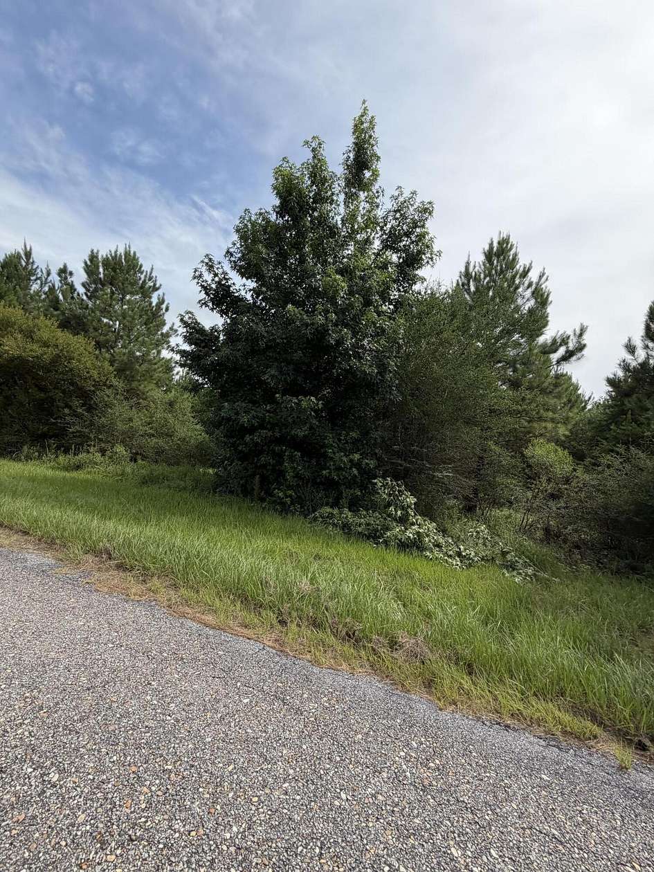 5.46 Acres of Land for Sale in Lumberton, Mississippi