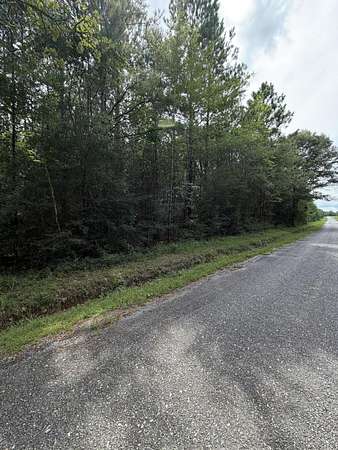 5.49 Acres of Land for Sale in Lumberton, Mississippi