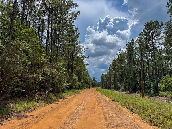 5.5 Acres of Land for Sale in Livingston, Texas