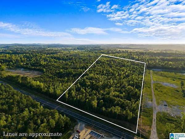 20 Acres of Land for Sale in Ohatchee, Alabama