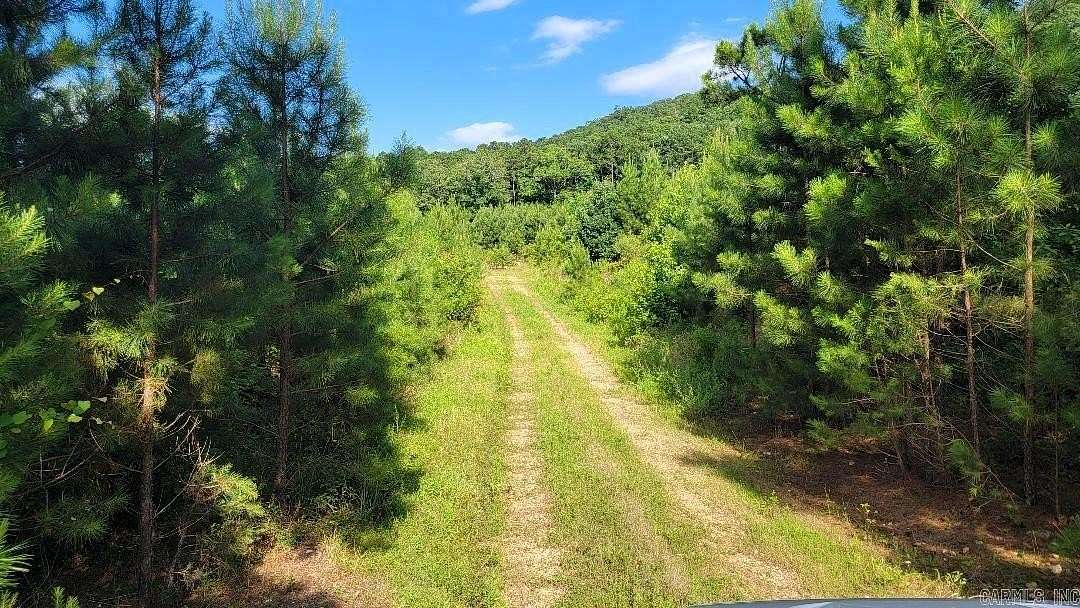 20.2 Acres of Recreational & Residential Land for Sale in Bismarck, Arkansas