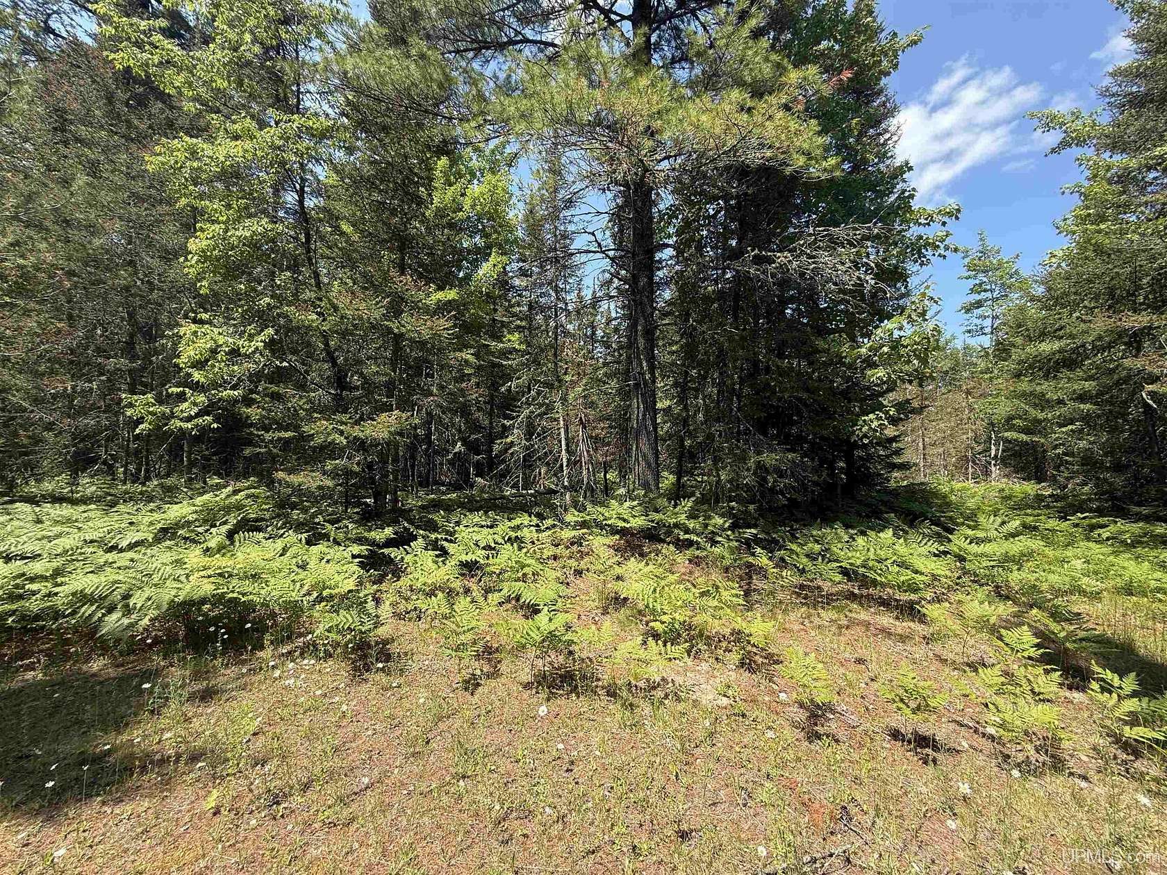 2.57 Acres of Residential Land for Sale in Lake Linden, Michigan