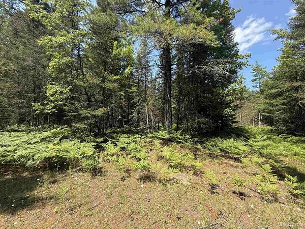 2.57 Acres of Residential Land for Sale in Lake Linden, Michigan
