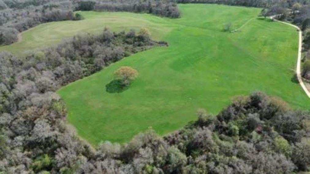 240 Acres of Recreational & Residential Land for Sale in Clio, Alabama