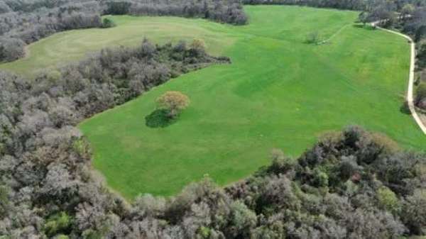 240 Acres of Recreational & Residential Land for Sale in Clio, Alabama