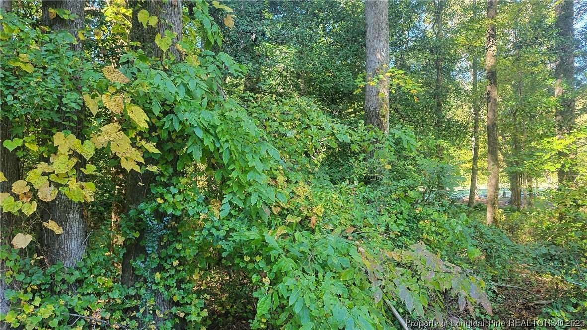 0.33 Acres of Residential Land for Sale in Sanford, North Carolina