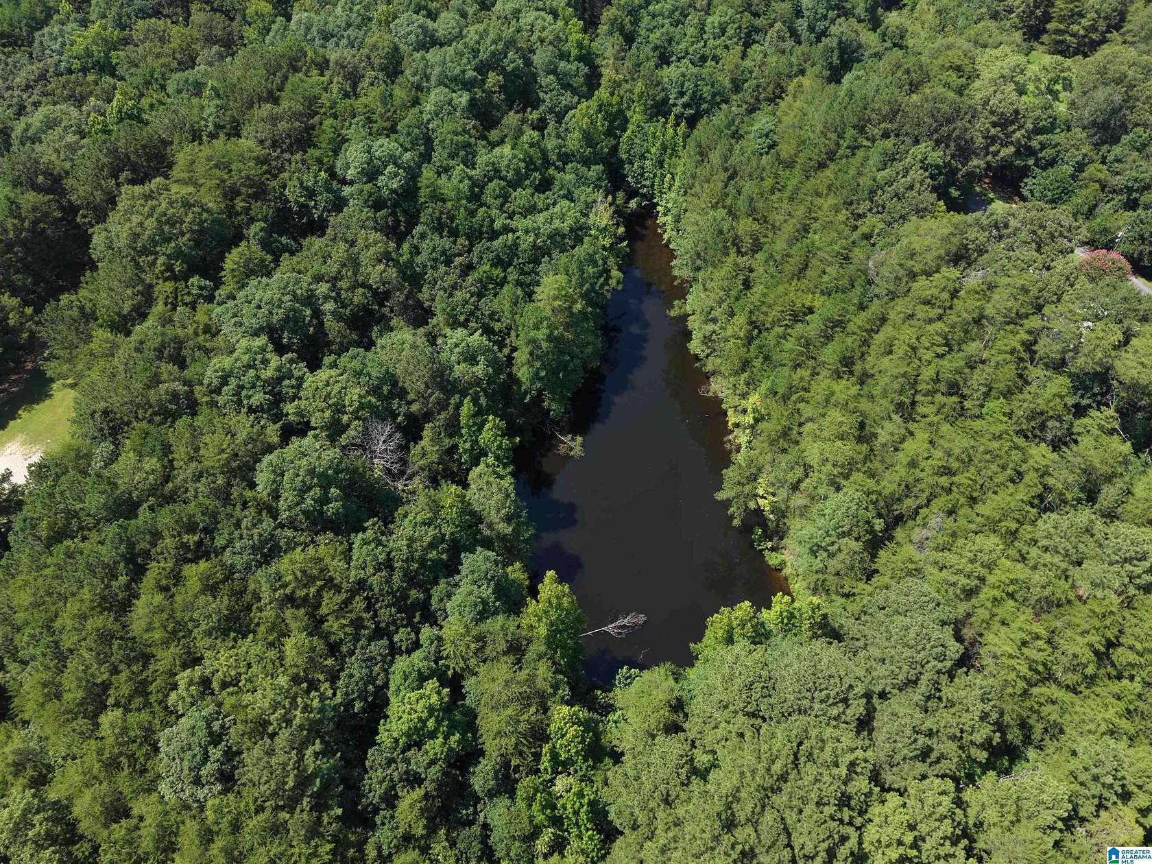 21.1 Acres of Recreational & Residential Land for Sale in Morris, Alabama