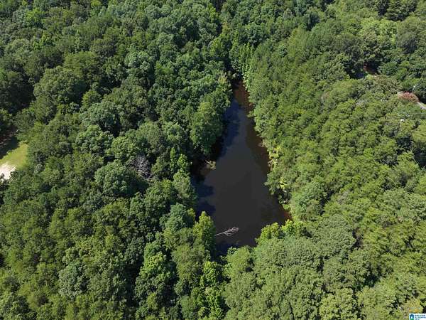 21.1 Acres of Recreational & Residential Land for Sale in Morris, Alabama