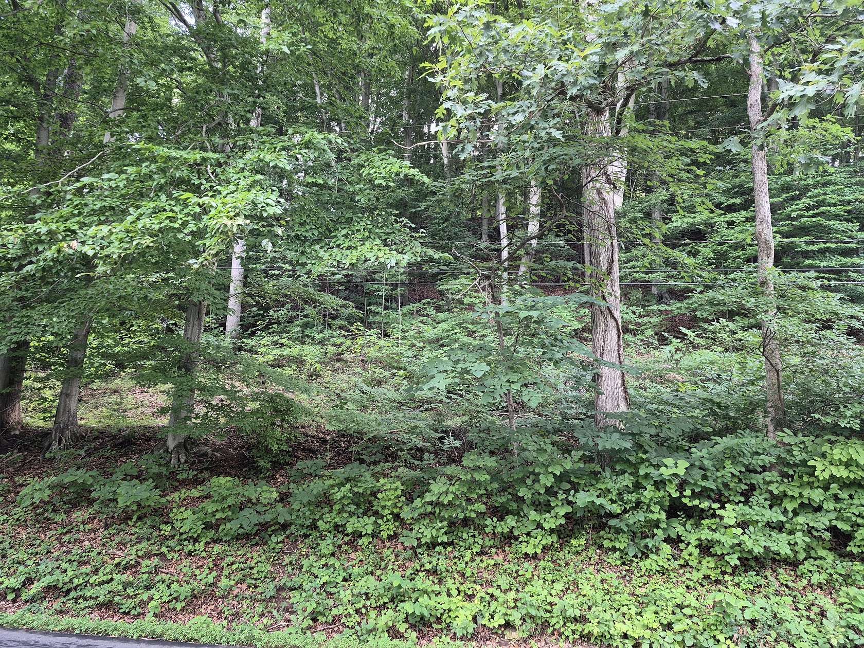 3.5 Acres of Residential Land for Sale in Glasgow, Virginia
