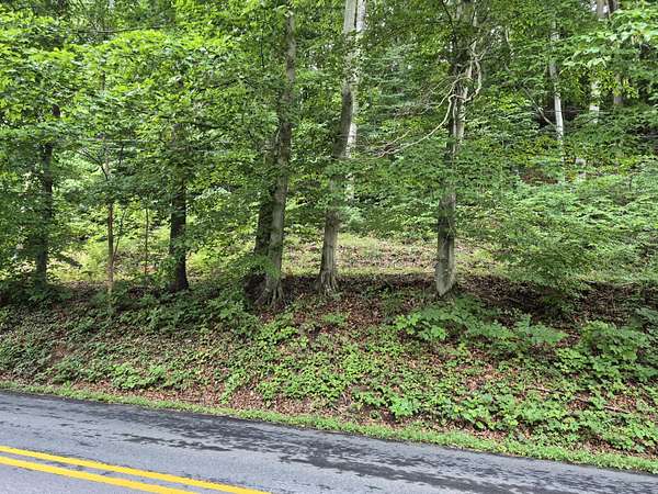 3.5 Acres of Residential Land for Sale in Glasgow, Virginia