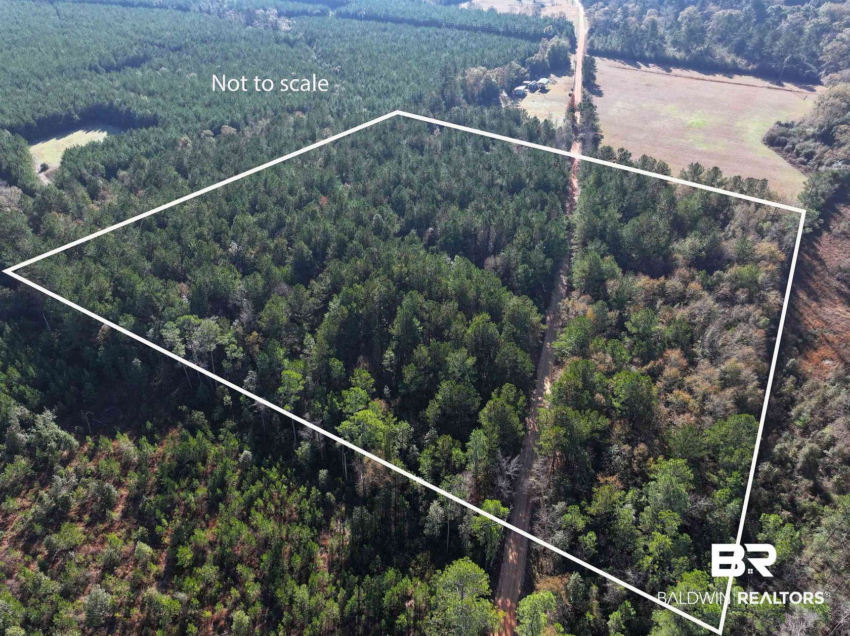 12 Acres of Recreational Land for Sale in Brewton, Alabama