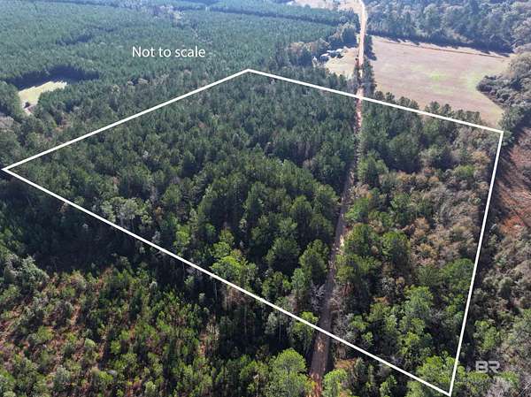 12 Acres of Recreational Land for Sale in Brewton, Alabama