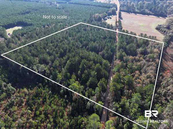 12 Acres of Recreational Land for Sale in Brewton, Alabama